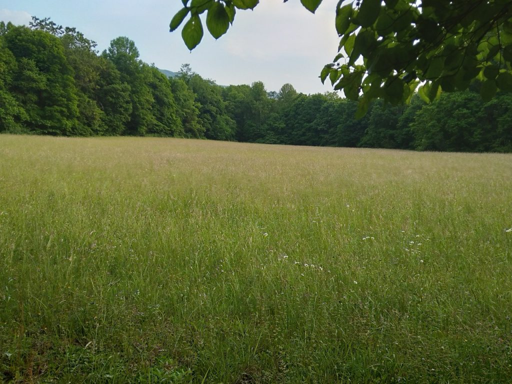 20230523 193419 Large