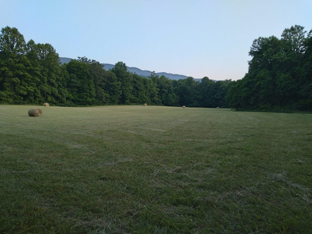20230608 201652 Large